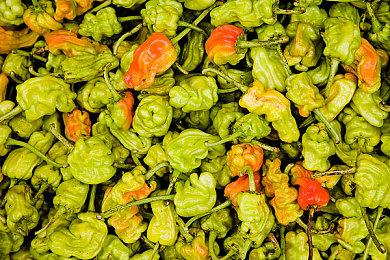 育碧股价过去5年暴跌超80% 已是十年最低水平